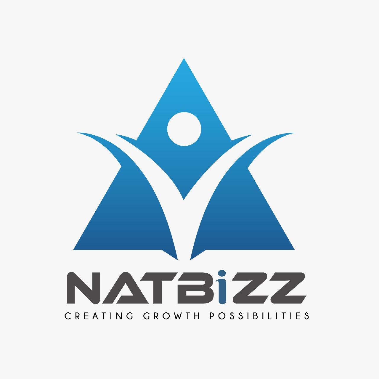 Natbizz Consultants Logo